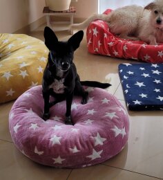 Kuschelbett rosa mit Sternen klein